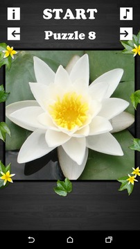 Exciting Puzzle - Flowers游戏截图1