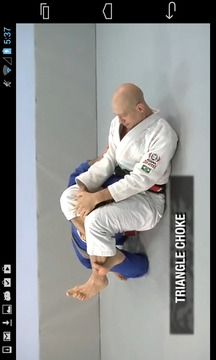 BJJ Roadmap游戏截图5