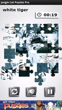 Jungle Cat Free Puzzles游戏截图1