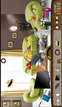 Hidden Object Messy Room游戏截图2
