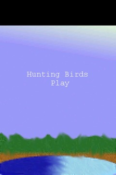 Hunting Birds游戏截图1