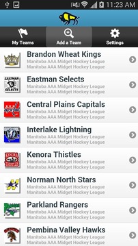 Manitoba AAA Midget Hockey游戏截图2