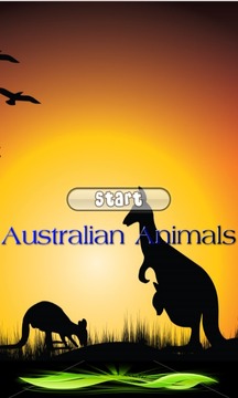 Australian Animals游戏截图1