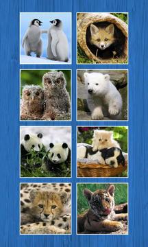Slide Puzzle -Animals游戏截图4