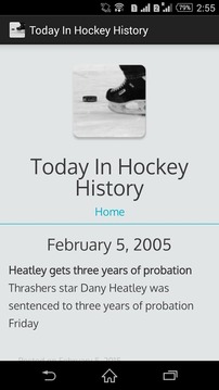 Today In Hockey History游戏截图2