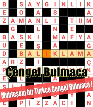 Çengel Bulmaca Türkce Kelime Oyunu游戏截图5