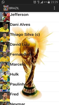 Soccer World Cup Teams 2014游戏截图3