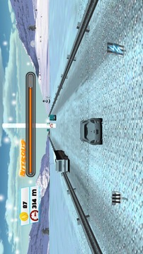 Crazy Racer 3D游戏截图1