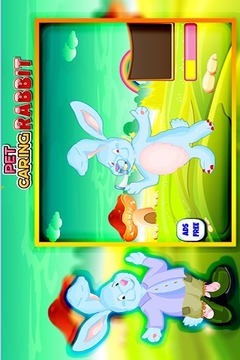 Pet Caring Rabbit游戏截图4