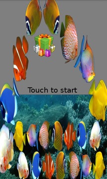 Fish Link游戏截图1