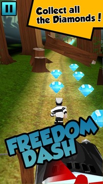 Freedom Dash游戏截图3