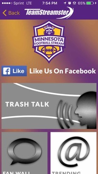 Minnesota Football STREAM游戏截图4