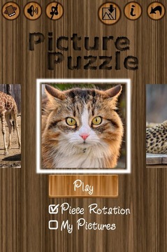 Picture Puzzle (Free Rotation)游戏截图2