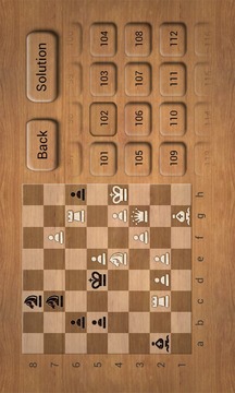 Chess Puzzles L游戏截图2