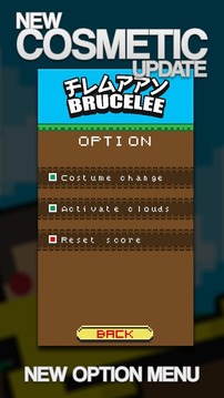 Flappy Bruce Lee游戏截图3