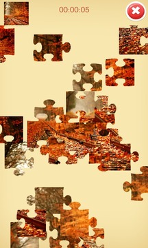 Puzzle Collage游戏截图4