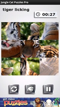 Jungle Cat Free Puzzles游戏截图5