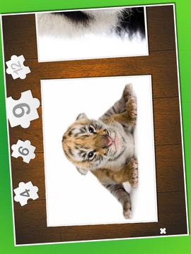 Baby animal puzzle游戏截图5