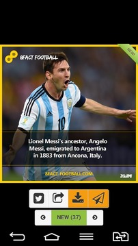 Football Facts游戏截图5