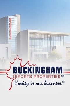 Buckingham Sports游戏截图1
