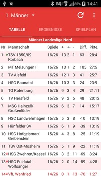VfL Wanfried Handball游戏截图1