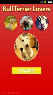 Bull Terrier: Find Differences游戏截图1