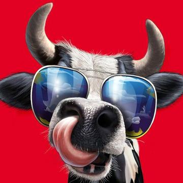 Crazy Cow Rampage 2D Simulator游戏截图1