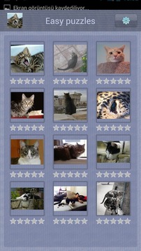 Cat Puzzle for Kids游戏截图3