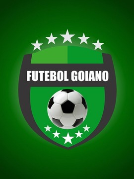 Futebol Goiano游戏截图2