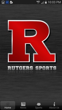 Rutgers Hockey游戏截图1