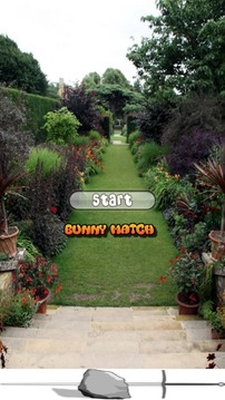 Bunny Match Free游戏截图3