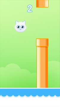 Yang Cat Game游戏截图5