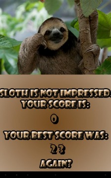 Aardvark or Sloth!?游戏截图2