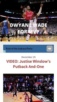 Dwyane Wade for MVP游戏截图4