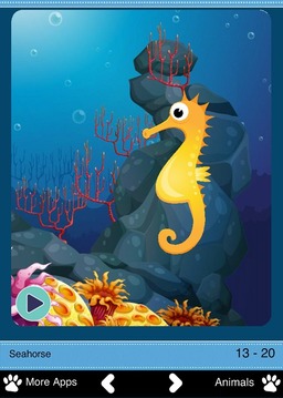 Sea Animals for Toddlers游戏截图4