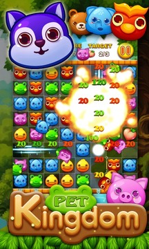Pet Kingdom游戏截图2