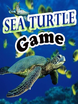 Sea Turtle Game游戏截图1