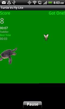 Turtle Vs Fly Lite游戏截图3