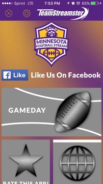 Minnesota Football STREAM游戏截图1