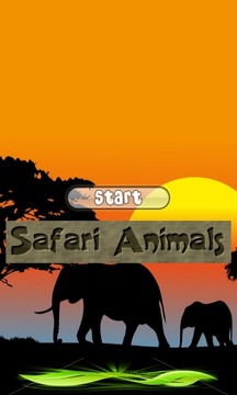 Safari Animals游戏截图1