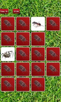 Insect Memory Game游戏截图3