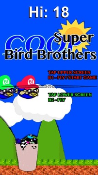 Super Bird Brothers - 2 Player游戏截图2