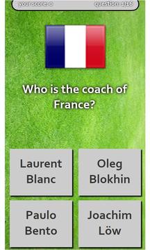 EURO 2012 QUIZ游戏截图2