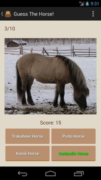 Guess The Horse!游戏截图4