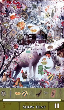 Hidden Object - Winterland游戏截图1