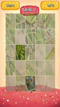 Grasshopper Jigsaw Puzzles游戏截图4