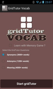 Play Vocab on gridTutor游戏截图1