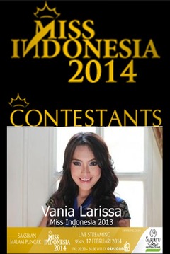 Miss Ina 2014 Puzzle Games游戏截图4