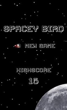 Spacey Bird游戏截图1