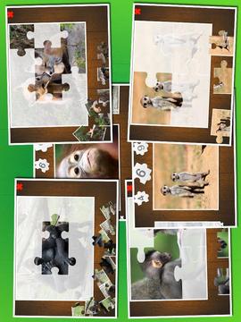 Baby animal puzzle游戏截图4